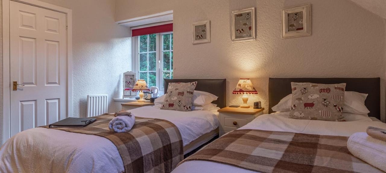 Bed and Breakfast Glyntwrog House Бетс-и-Койд Экстерьер фото